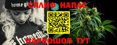 СК Донецк