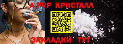 СК Донецк