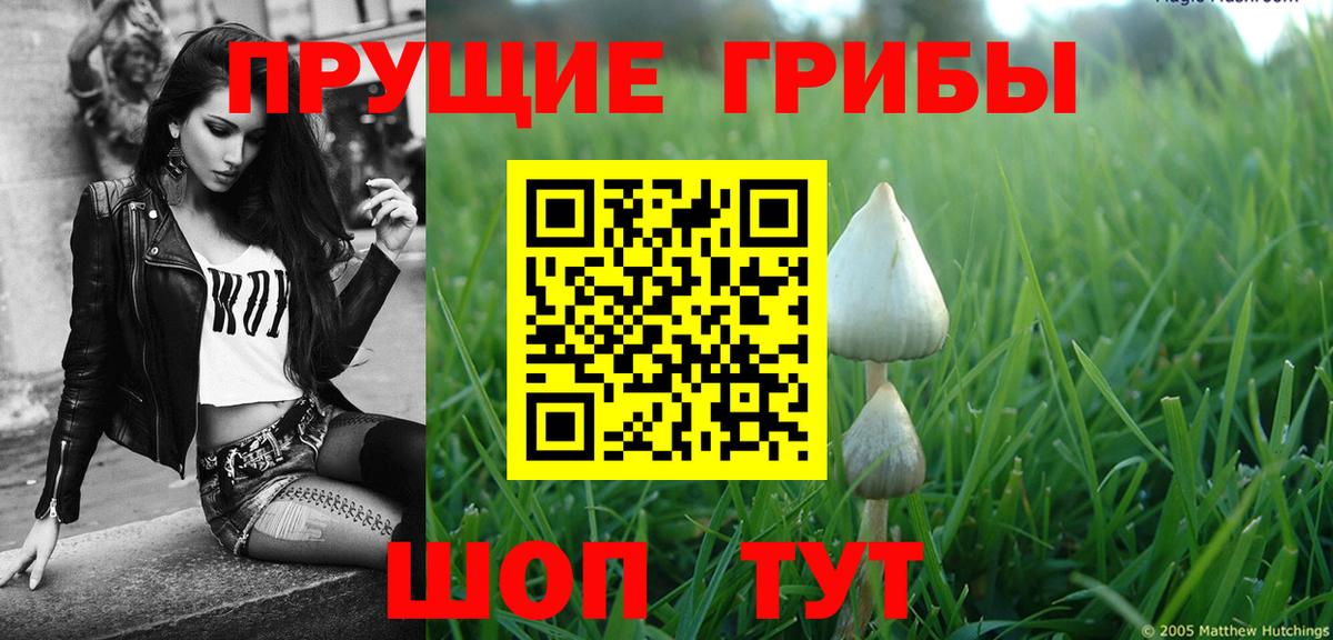 Магадан  Псилоцибиновые грибы Psilocybe  Галлюциногенные грибы мицелий  Вход с VPN 